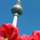 Texter in Berlin - im Frühling